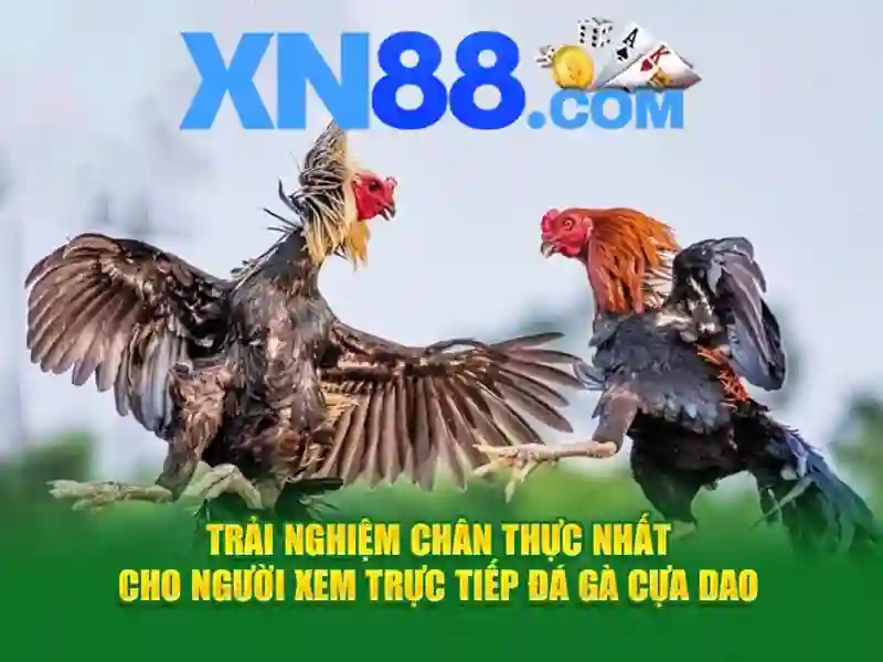 Giao diện sảnh game bắn cá đổi thưởng 3D sống động và hiện đại tại nhà cái XN88